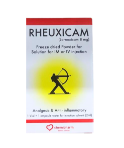 RHEUXICAM IM 1VIAL (2ML)